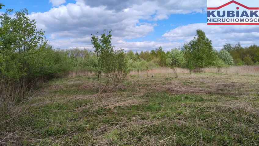 Działka Sprzedaż Żabia Wola