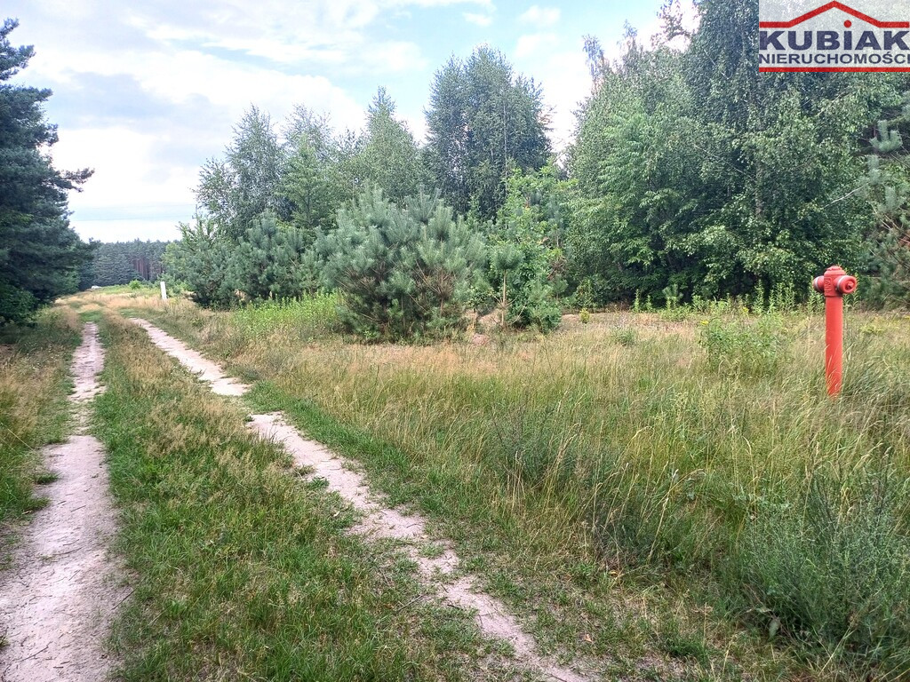 Działka Sprzedaż Szymanówek
