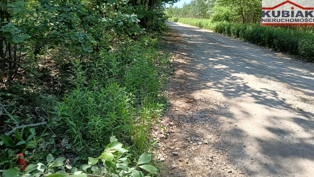 Działka Sprzedaż Zaręby