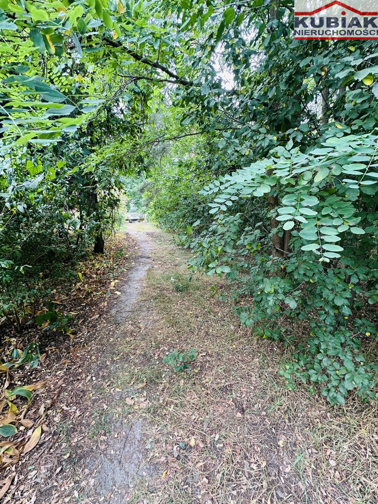 Działka Sprzedaż Powązki