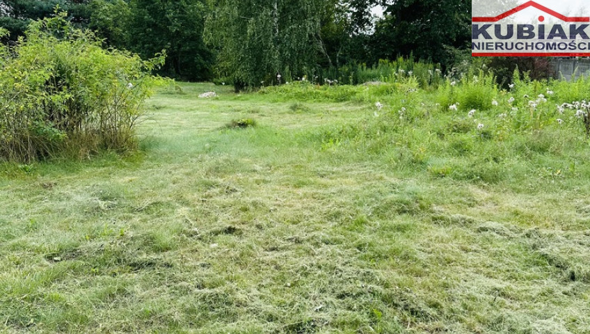 Działka Sprzedaż Domaniewek