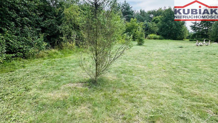 Działka Sprzedaż Domaniewek