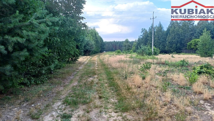 Działka Sprzedaż Szymanówek
