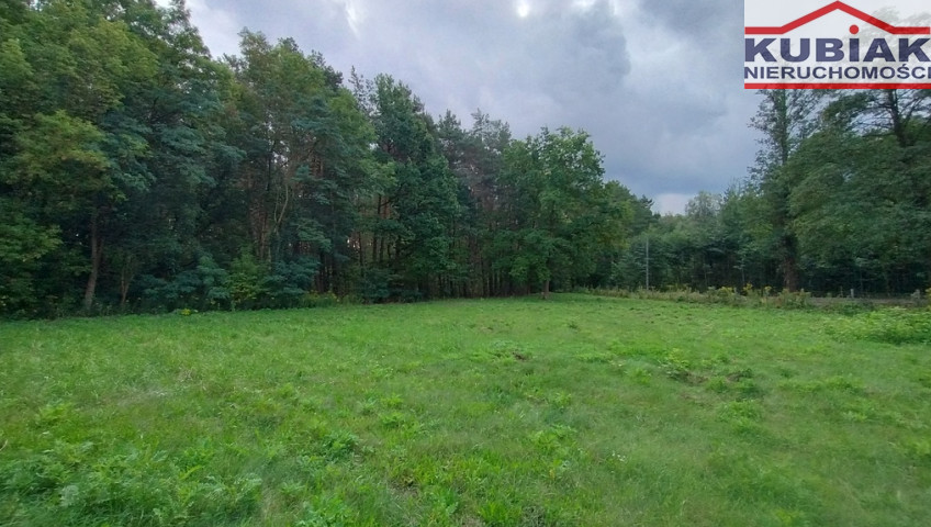 Działka Sprzedaż Suchy Las