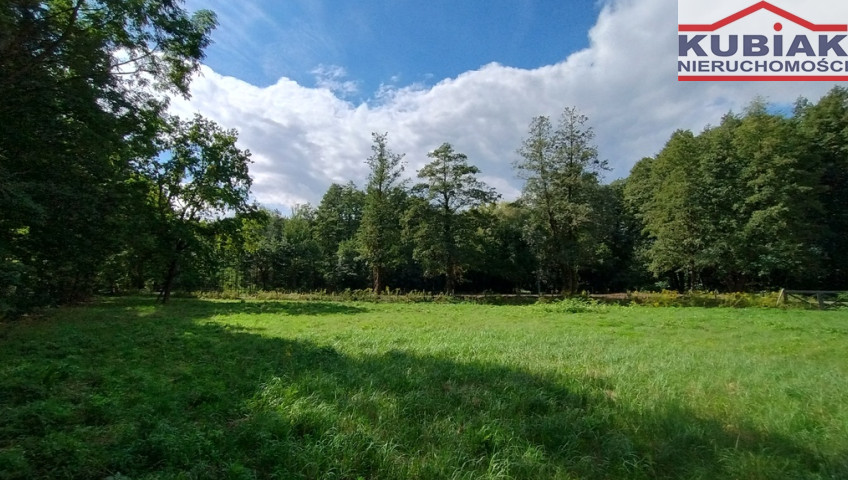 Działka Sprzedaż Suchy Las