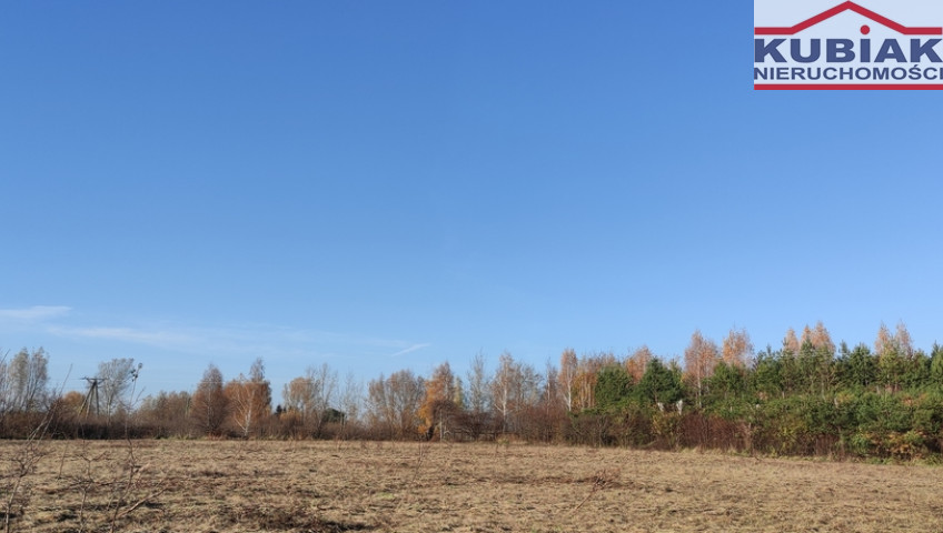 Działka Sprzedaż Brwinów