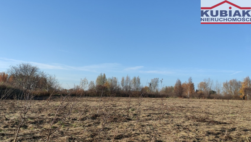 Działka Sprzedaż Brwinów